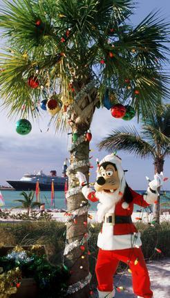 Goofy unter Palmen auf einem Schiff der Disney-Flotte.