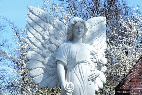 Besonders mächtige Flügel, aber einen sanften Blick hat dieser blütenweiße Engel auf dem Nordfriedhof.