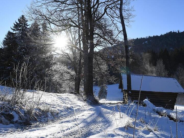 Die Sonne scheint in einem Gebirge zwischen Bäumen hindurch, die neben einer Holzhütte stehen. Foto: Angelika Warmuth/dpa/Archivbild