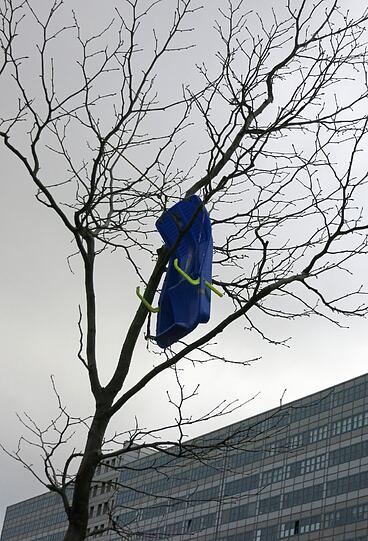 Ein Schlitten im Baum? Das findet man dank Niklas zur Zeit in Berlin.