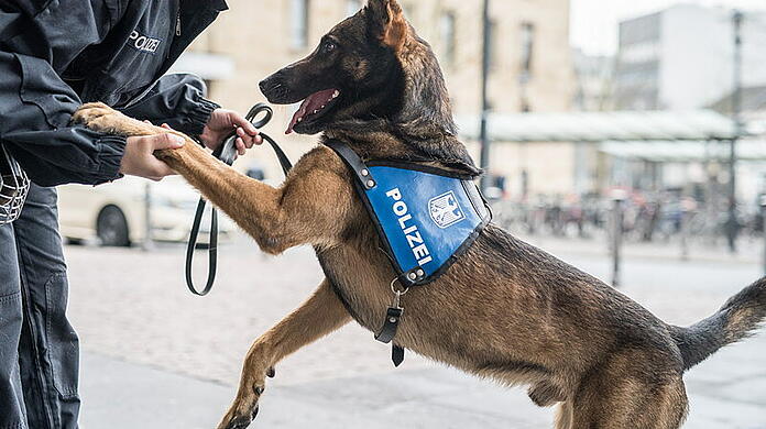 Mehr als 20 Polizeifahrzeuge haben in der Nacht gebrannt. (Symbolbild)