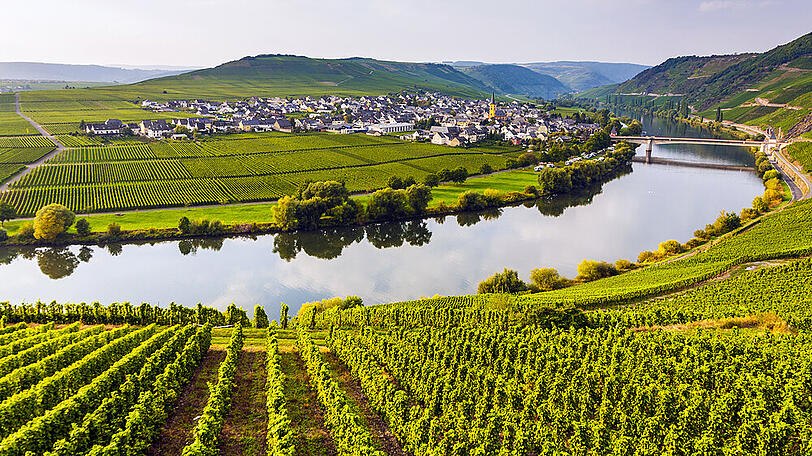 Die Mosel gehört zu den ältesten Weinregionen Deutschlands