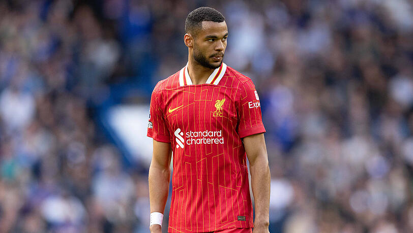 Im Visier des FC Bayern: Cody Gakpo. Im Visier des FC Bayern: Cody Gakpo.