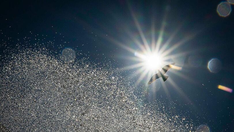 Am Mittwoch sollen die Temperaturen am Untermain auf 39 Grad klettern. (Archivbild)