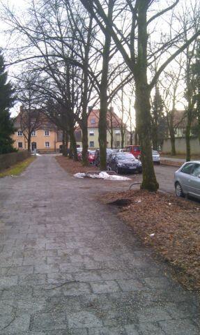 Straßen- und Grünstreifenpflege: Fehlanzeige. Die Bilder zum Durchklicken.