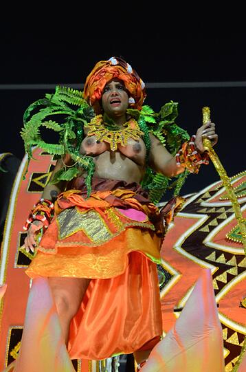 Heiße Rhythmen, heiße Tänze: Die besten Bilder vom Karneval im Sambodromo in Rio.