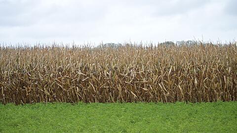 In Bayern müssen sich die Menschen auf einen bewölkten Himmel einstellen.