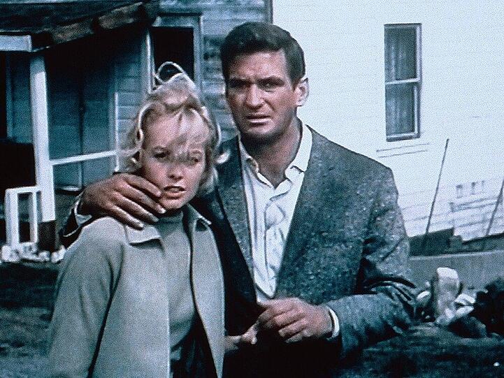 Tippi Hedren und Rod Taylor in "Die Vögel" (1963) von Alfred Hitchcock