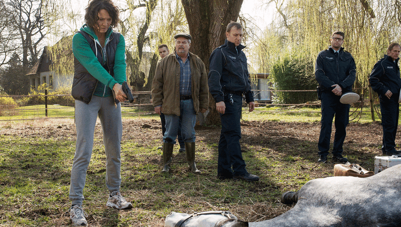 Ulrike Folkerts als "Tatort"-Kommissarin Lena Odenthal gibt in einer Filmszene des "Tatort"-Krimis "Die Sonne stirbt wie ein Tier" einem verletzten und geschändeten Pferd den Gnadenschuss. Ulrike Folkerts als "Tatort"-Kommissarin Lena Odenthal gibt in einer Filmszene des "Tatort"-Krimis "Die Sonne stirbt wie ein Tier" einem verletzten und geschändeten Pferd den Gnadenschuss.