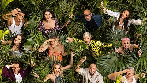Das RTL-Dschungelcamp startet am 24. Januar 2025. Die Werbeplätze zur Prime-Time sind heiß begehrt.