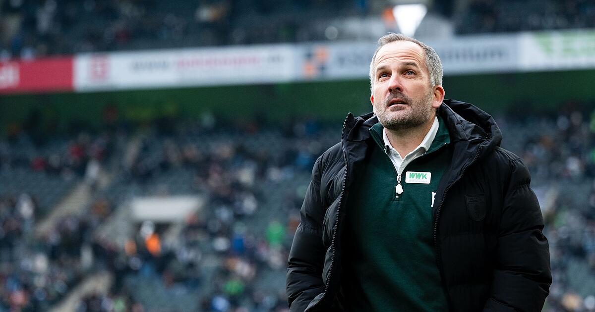 Baum-versch-rft-Tonlage-in-Augsburg-H-rteres-Feedback-