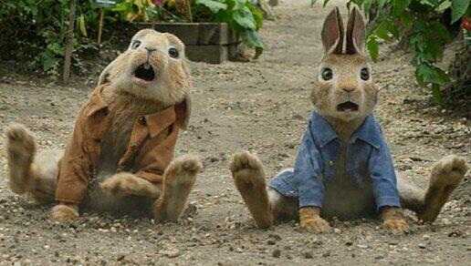 Peter Hase (rechts) und sein Cousin Benjamin wildern nur allzu gerne in Nachbars Gemüsegarten.