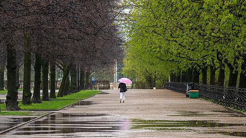 Eine Frau mit Regenschirm geht im Münchner Hofgarten durch die teilweise schon austreibenden Baumalleen.