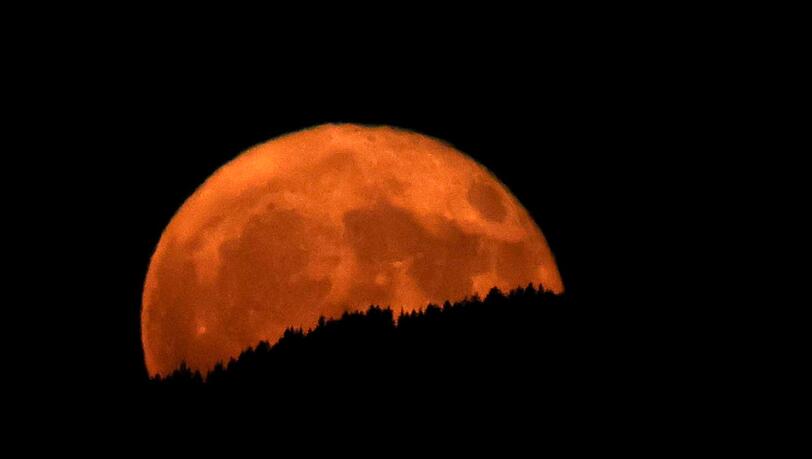 In Oberbayern wirkte der aufgehende Erdbeermond hinter dunklen Wäldern besonders groß.