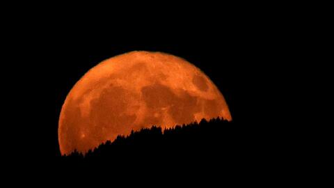 In Oberbayern wirkte der aufgehende Erdbeermond hinter dunklen Wäldern besonders groß.