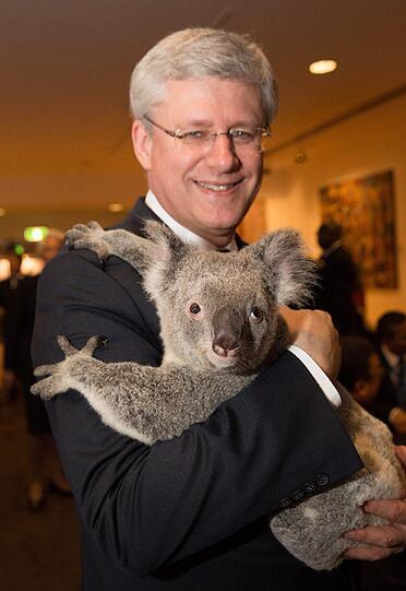 Der kanadische Premierminister Stephen Harper