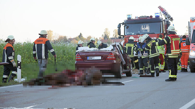 Ein Mercedes mit Totalschaden, ein schwerverletzter Autofahrer und zwei tote Pferde auf der Landstraße. Die schrecklichen Bilder aus Gangkofen