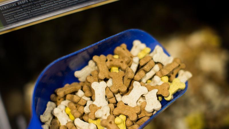 Einige Milchprodukte wie Joghurt kann man gut mit Hundefutter mischen.