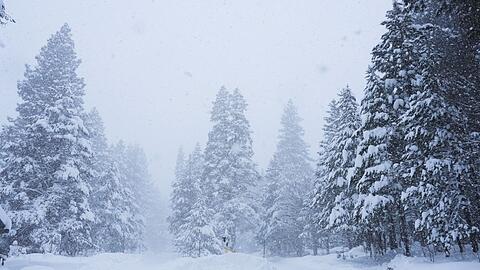 In Kalifornien ist viel Schnee gefallen.