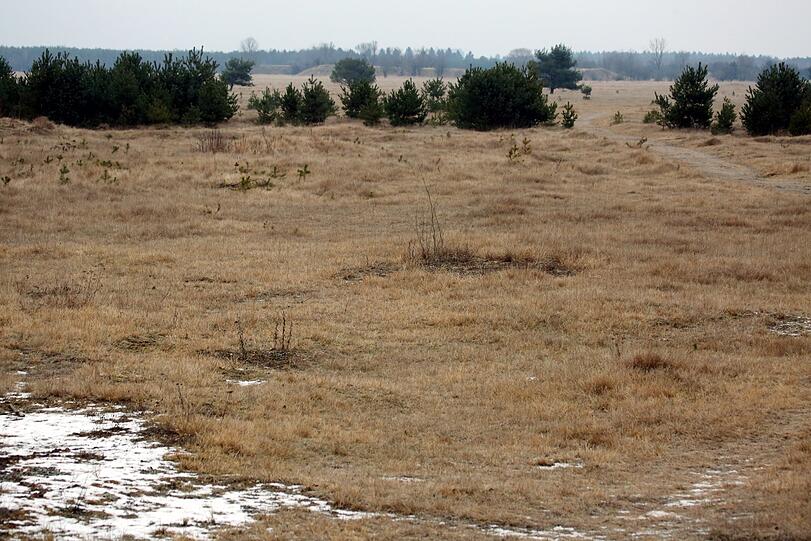 Vom Heideblick, einem kleinen Aussichtspunkt, hat man einen guten Überblick auf den geschützten Teil der Heide.