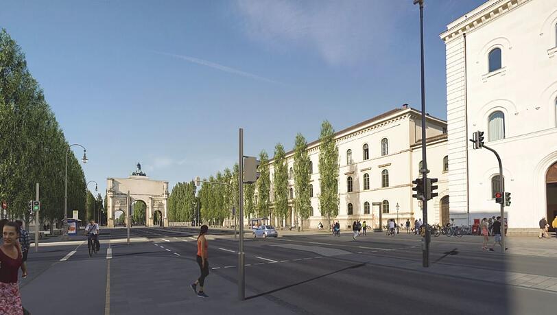 Wie in der Leopoldstraße: Auch südlich des Siegestors sollen wieder Pappeln die Straße säumen. Wie in der Leopoldstraße: Auch südlich des Siegestors sollen wieder Pappeln die Straße säumen.