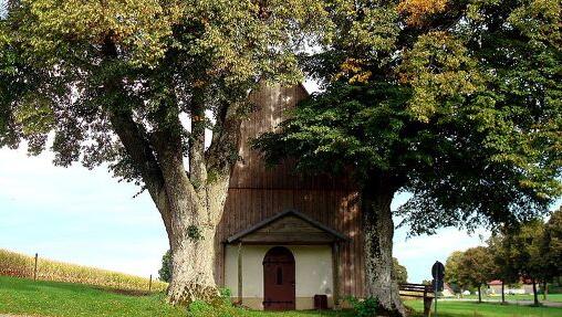 Die Kapelle in Unterbrunn hat eine 80-jährige Linde als Beschützerin. Die Kapelle in Unterbrunn hat eine 80-jährige Linde als Beschützerin.