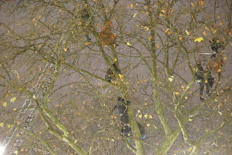 Das Lager der Flüchtlinge am Sendlinger Tor Platz wird von Einsatzkräften geräumt - die Bilder!