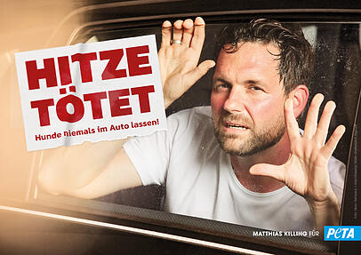 Matthias Killing mimt für die Tierschutzorganisation "Peta" einen leidenden Hund im Auto. Matthias Killing mimt für die Tierschutzorganisation "Peta" einen leidenden Hund im Auto.