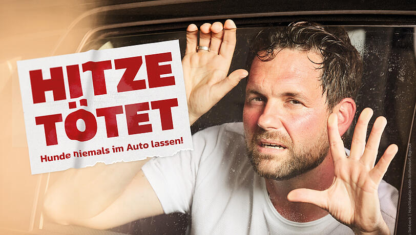 Matthias Killing mimt für die Tierschutzorganisation "Peta" einen leidenden Hund im Auto. Matthias Killing mimt für die Tierschutzorganisation "Peta" einen leidenden Hund im Auto.