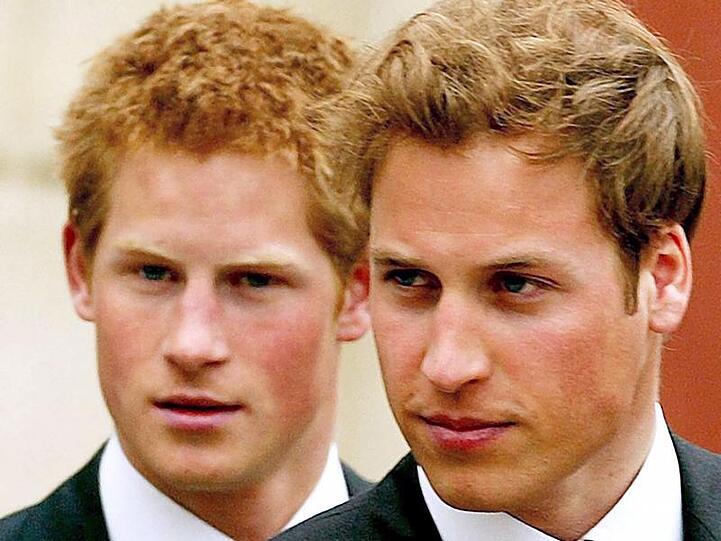 Prinz William (r.) und sein Bruder Harry sind zu dem attraktivsten Adeligen gewählt worden.