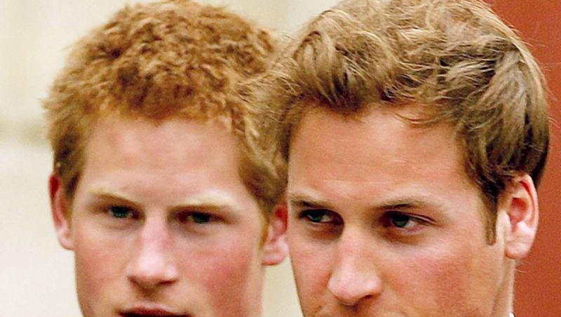 Prinz William (r.) und sein Bruder Harry sind zu dem attraktivsten Adeligen gewählt worden. Prinz William (r.) und sein Bruder Harry sind zu dem attraktivsten Adeligen gewählt worden.