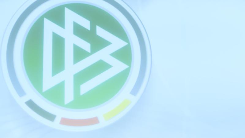 Nach dem Rücktritt vn Reinhard Grindel sucht der DFB einen neuen Präsidenten.