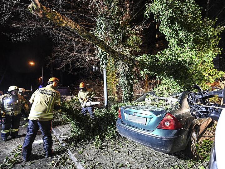 Ein Baum ist durch Orkanböen des Sturmtiefs "Sabine" auf ein Auto gestürzt.