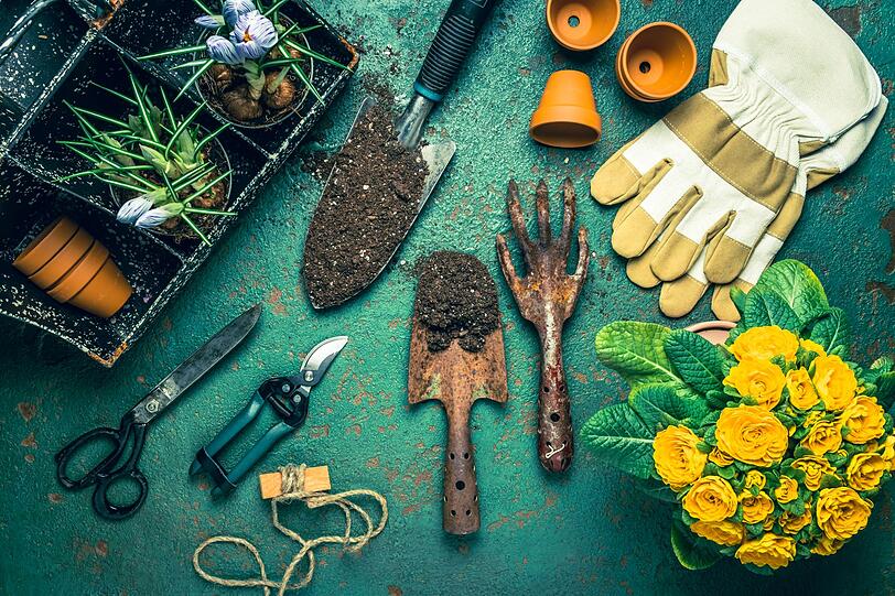 Wer an der Ausr&uuml;stung zum G&auml;rtnern spart, dem wird der Spa&szlig; daran schnell vergehen. Zumindest die grundlegendsten Werkzeuge wie Hacke, Harke, Rechen, Pflanzkelle, Gartenschere, Schaufel, Gartenhandschuhe sollten Sie in Ihrem Keller oder Ihrer Garage haben. So l&auml;sst sich Zeit, &Auml;rger und Kraft sparen. Vergessen Sie nicht, die Anschaffung f&uuml;r die n&ouml;tigen Ger&auml;te in Ihrer Budget-Kalkulation zu ber&uuml;cksichtigen.