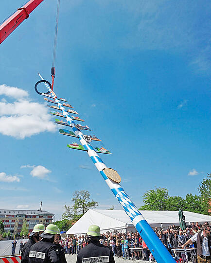 Vorsichtig zieht der Feuerwehrkran das 27-Meter-Stangerl am Dienstagmittag in die Höhe. Nur noch ein paar Minuten, dann steht der erste Maibaum vor dem Bierzelt am Luise-Kiesselbach-Platz. Fotos: