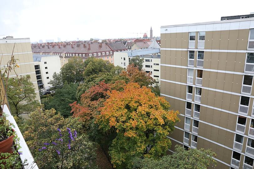 Diese Bäume im Innenhof sollen für die Bebauung fallen. Dabei ist drumherum eh schon so viel Beton.