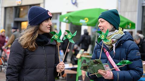 2024 wurden besonders viele Politikerinnen und Politiker der Gr&uuml;nen attackiert. (Archivfoto)
