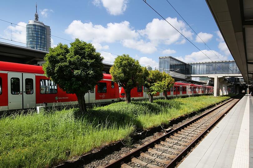 Sogar ein bisserl Grün gibt's hier - am S-Bahnhof Donnersbergerbrücke.