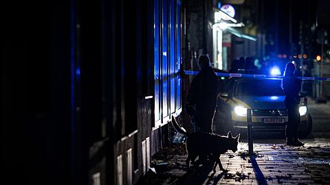 Auch Spürhunde waren abends im Einsatz.