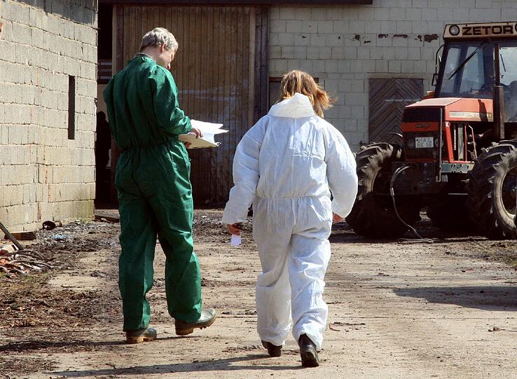 Tod auf dem Bauernhof: Ein Landwirt hat auf seinem Hof einen Mitarbeiter des Veterinäramts erschossen. (Archivbild)