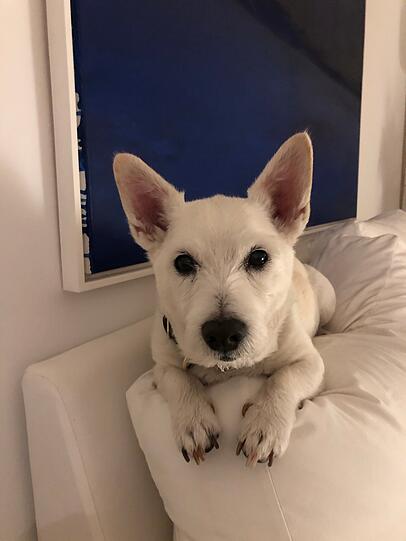 Sam