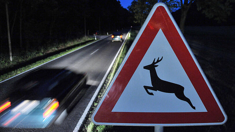 Ein Verkehrsschild warnt vor Wildwechsel. Besonders in der Dämmerung steigt die Gefahr, dass Tiere die Fahrbahn kreuzen.