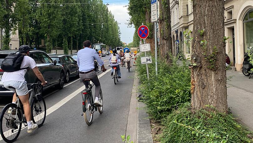 Breiter, sicherer und keine Buckelpiste mehr: der neue Radfahrstreifen auf der Lindwurmstraße. Breiter, sicherer und keine Buckelpiste mehr: der neue Radfahrstreifen auf der Lindwurmstraße.