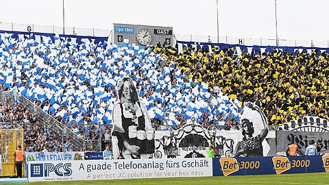 Stimmungsvoll: die Westkurve im Grünwalder Stadion beim Heimspielen des TSV 1860.