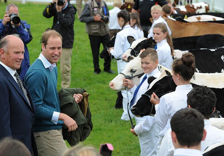 Prinz William bei der "Anglesey Show".
