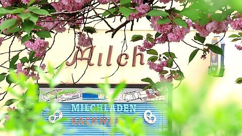 "Milch" steht noch an der Fassade über dem Schaufenster an der Kaulbachstraße 54. Leider gibt es seit Herbst keine Milch mehr zu kaufen. Einer der letzten Tante-Emma-Läden der Stadt hat zugemacht.