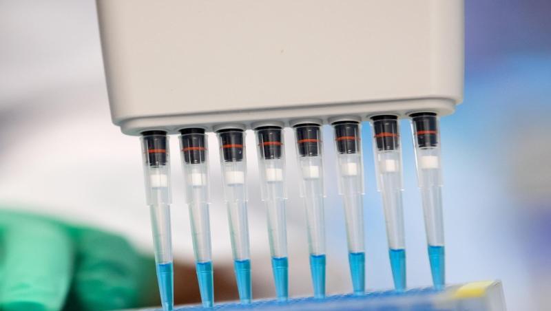 Eine Virologin untersucht Proben auf das Coronavirus. (Symbolbild)