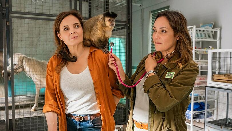 "Tierärztin Dr. Mertens: Keine andere Wahl": Das Tierärztinnen-Duo Dr. Susanne Mertens (Elisabeth Lanz, l.) und ihre Chefin Dr. Elif Şahin (Neshe Demir).