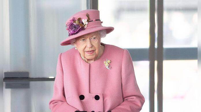 Die Krone ist Eigentümerin aller Höckerschwäne, die in Großbritannien auf offenen Gewässern leben.