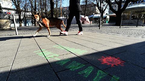 So ist es richtig: Angeleint wird ein Hund über den Viktualienmarkt geführt.